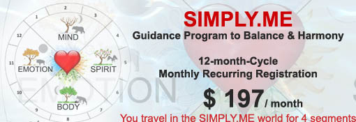 SimplyMe Guidance Program - yearly payment