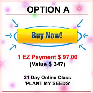 Plant my Seeds option A