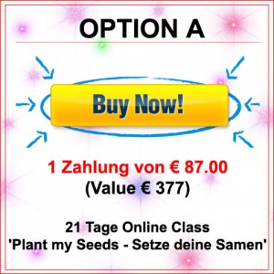 Plant my Seeds option A dt