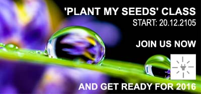 PLANT MY SEED WIDGET Kopie